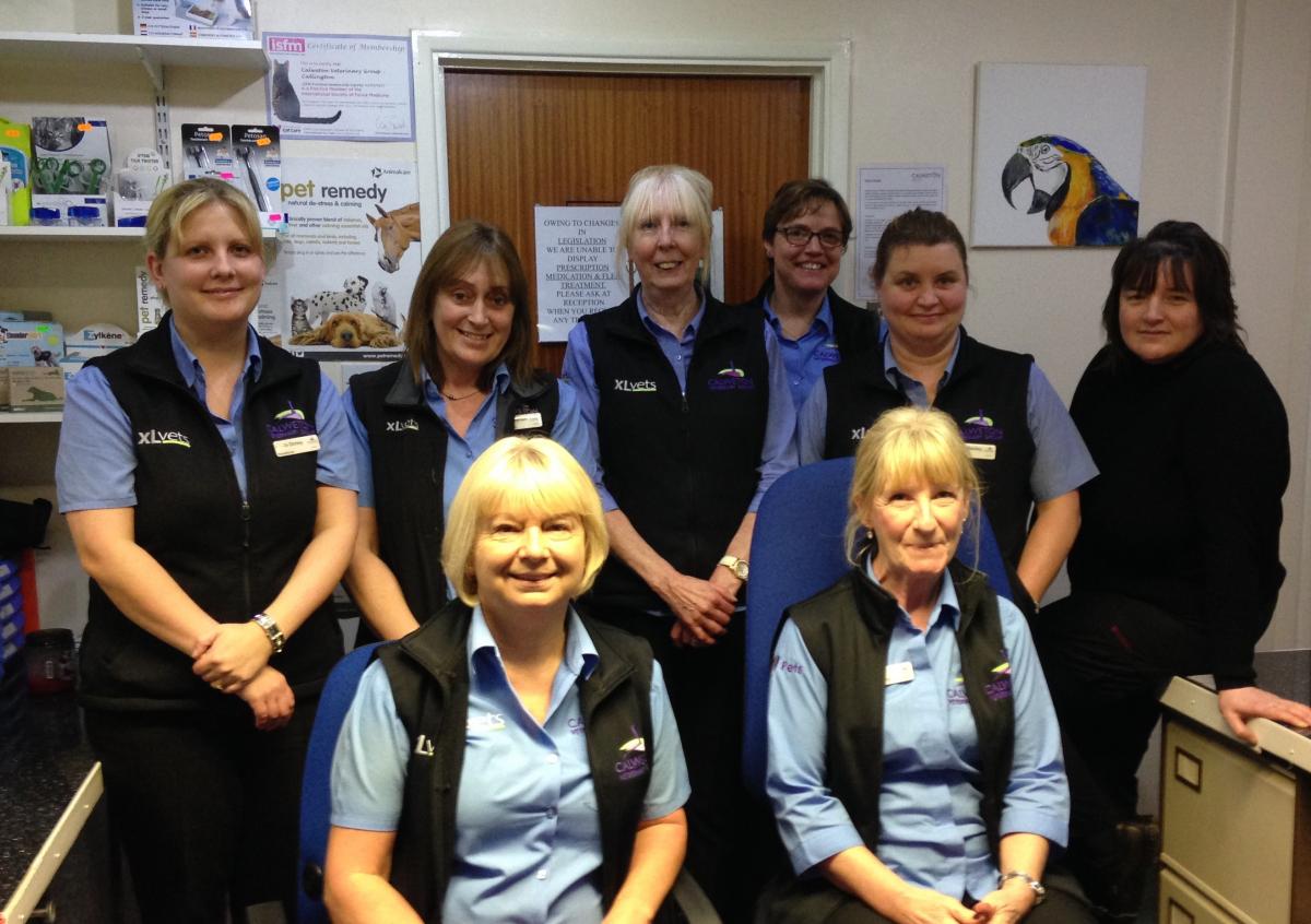 Veterinary reception jobs warwickshire